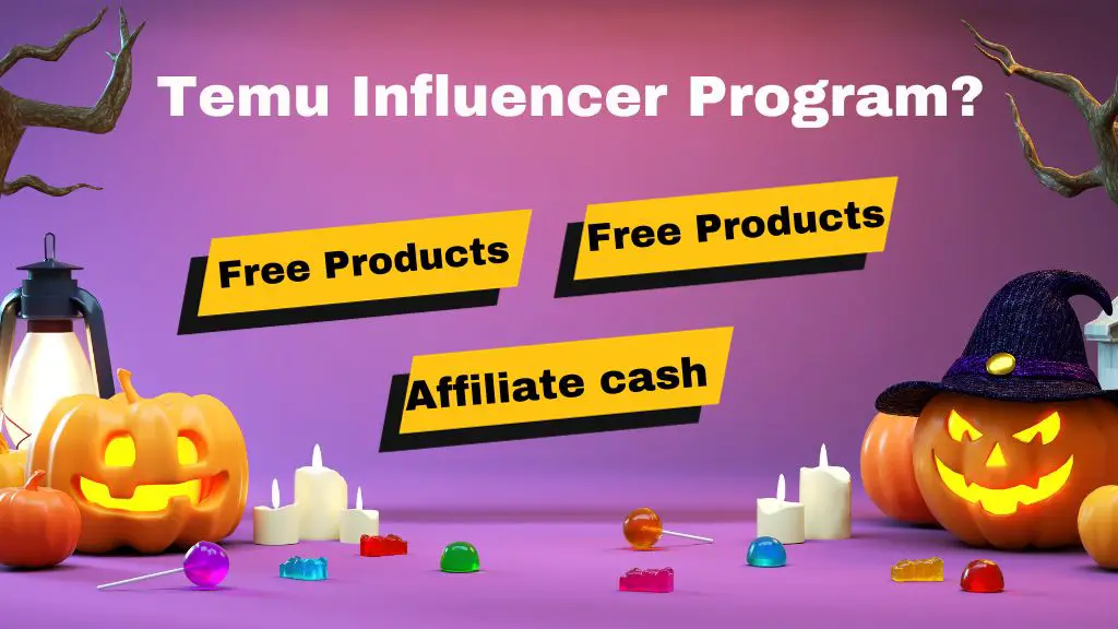 Temu Influencer Program
